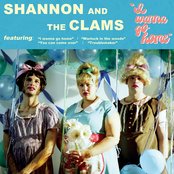 Shannon And The Clams - I Wanna Go Home Artwork