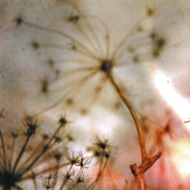 All The Pretty Things