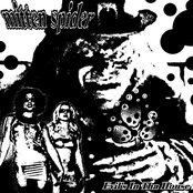 unholy grave / mitten spider