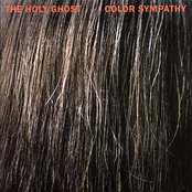 Color Sympathy by The Holy Ghost