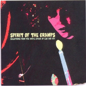 Spirit Of The Cramps: Selections From The Vinyl Stack Of Lux And Ivy