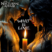 The Nocturnal Affair: What Is Love