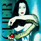 I'm Blowin' Away by Cher