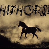 shithorse