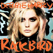 Free To Fall by Deborah Harry