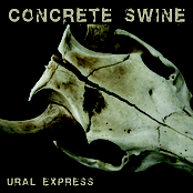 concrete swine