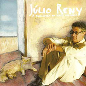 A primavera do gato amarelo