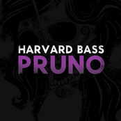 Pruno by Harvard Bass