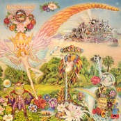 Only Parrots, Frogs and Angels