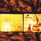 When I Was a Bird Up There