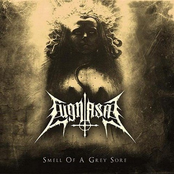 Smell Of A Grey Sore