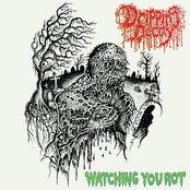 Watching You Rot