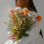 Anais Cardot: Pink Magnolia (Deluxe)