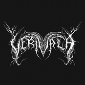 Voittomme (Limited Edition, Autistiartili Records - Autist020, Canada)