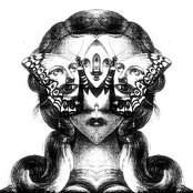 Moth On The Light Source