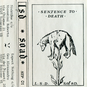 Sentence To Death