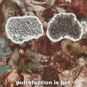 Putrefaction Is Hot