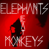 elephants eat monkeys