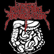 Intestinal Strangulation