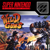 Wild Guns