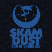Ready To Rock by Skam Dust
