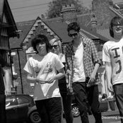 the post cavalier chronicles