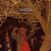 Does This Guy Stack Up?