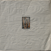 The Deadwood Divine. Tom Lomacchio