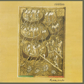 Dis Reggae by Riddim