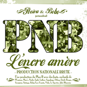 Pnb