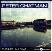 The Jive Blues by Peter Chatman