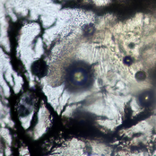 Hiraeth (The Lost Chapters)