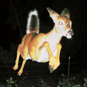 NIGHTCRAWLER* - Single