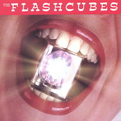 Muscle Beach by The Flashcubes