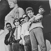 the paul butterfield blues band