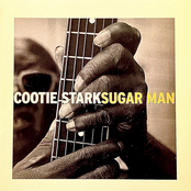 Sugar Man