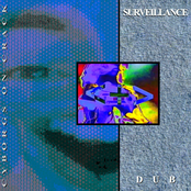 Surveillance Dub