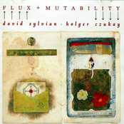 Flux + Mutability