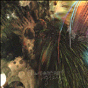 Lying on the floor mingling wi