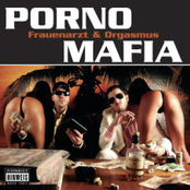 porno mafia