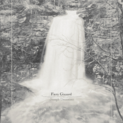 Joseph Decosimo: Fiery Gizzard