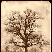 sheissunshinesheisrain