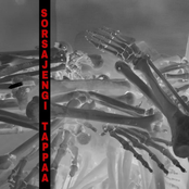 Sorsajengi Tappaa