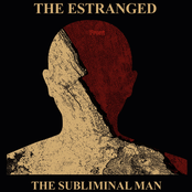 Wicker Man by The Estranged