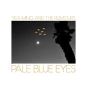 Pale Blue Eyes