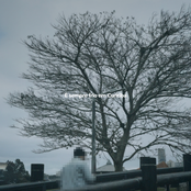 É sempre frio em Curitiba