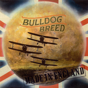 Reborn by Bulldog Breed