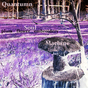 Quantumn Soul Machine