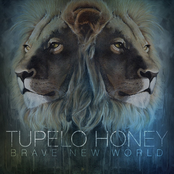 Disaster by Tupelo Honey