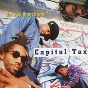 Freestyle by Capital Tax